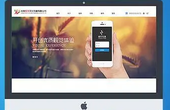 選擇上海麻豆精品无码国产在线果冻传媒，讓你的企業官網更具品牌力和影響力
